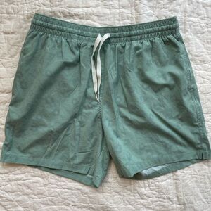 Men's 5.5” Chubbies Swim Trunks